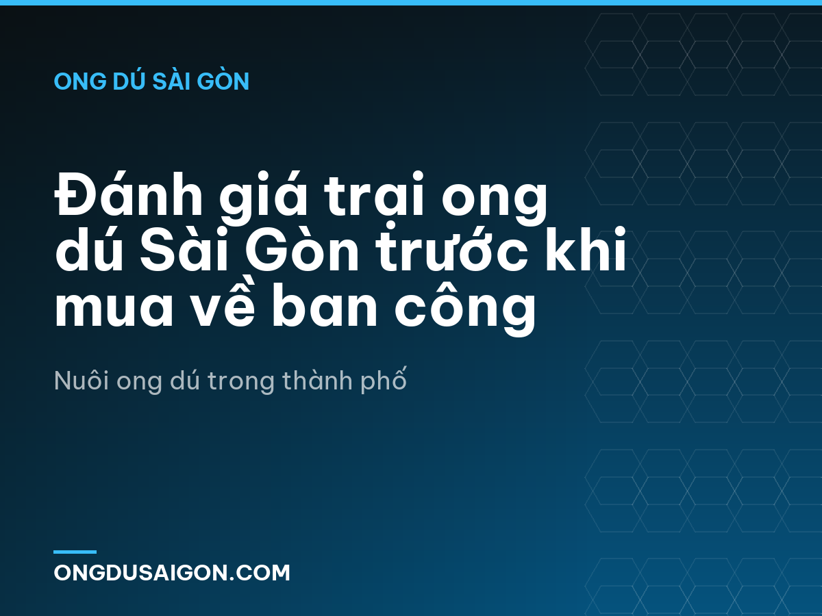 Đánh giá trại ong dú Sài Gòn trước khi mua về ban công