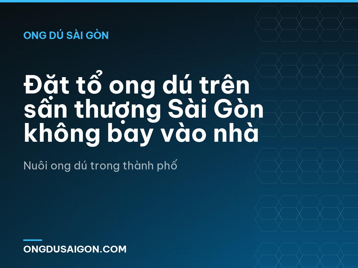 Đặt tổ ong dú trên sân thượng Sài Gòn không bay vào nhà