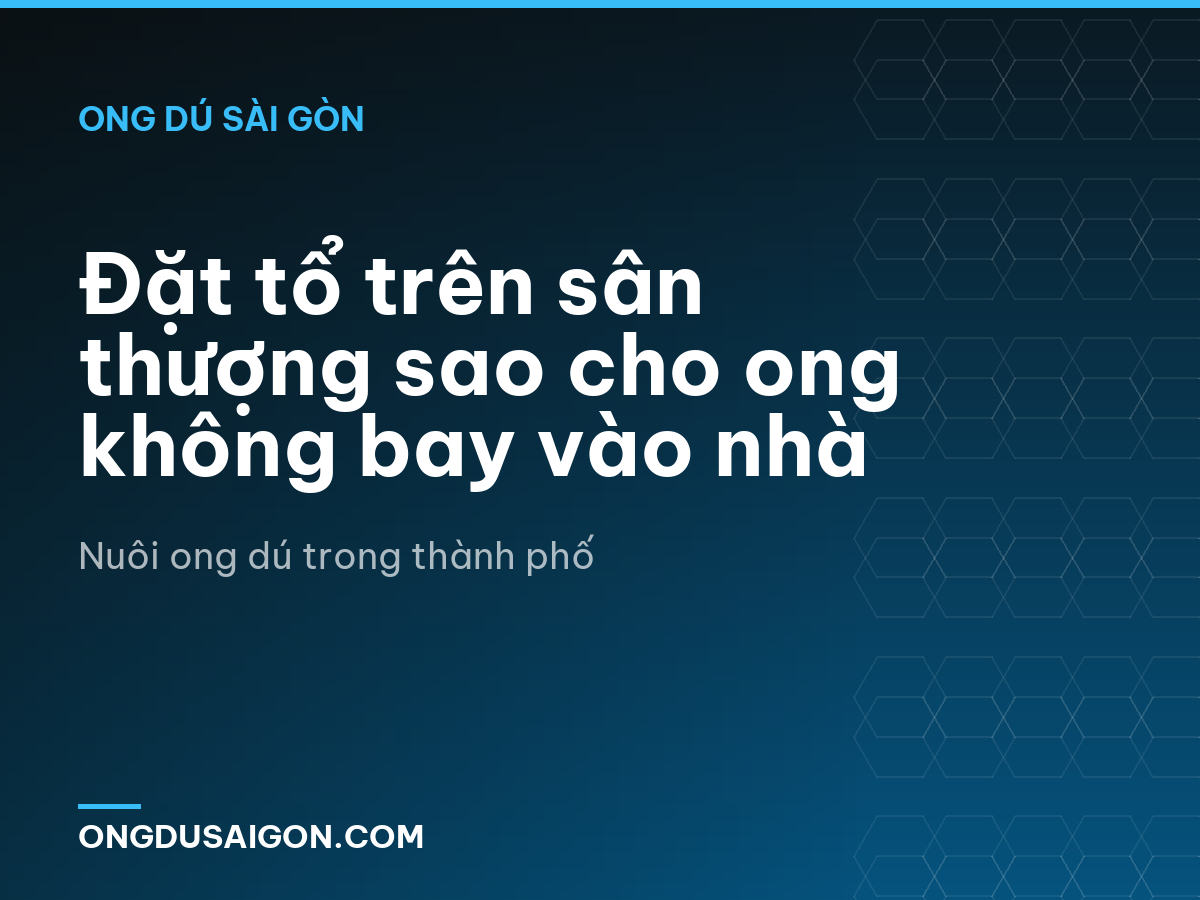 Đặt tổ trên sân thượng sao cho ong không bay vào nhà