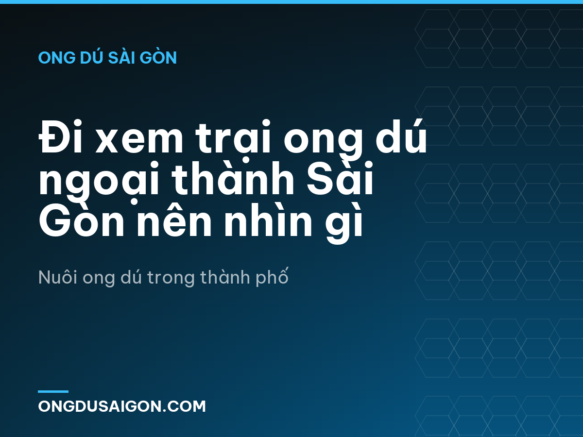 Đi xem trại ong dú ngoại thành Sài Gòn nên nhìn gì