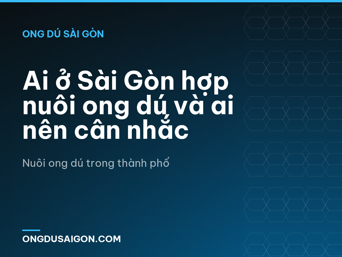 Ai ở Sài Gòn hợp nuôi ong dú và ai nên cân nhắc