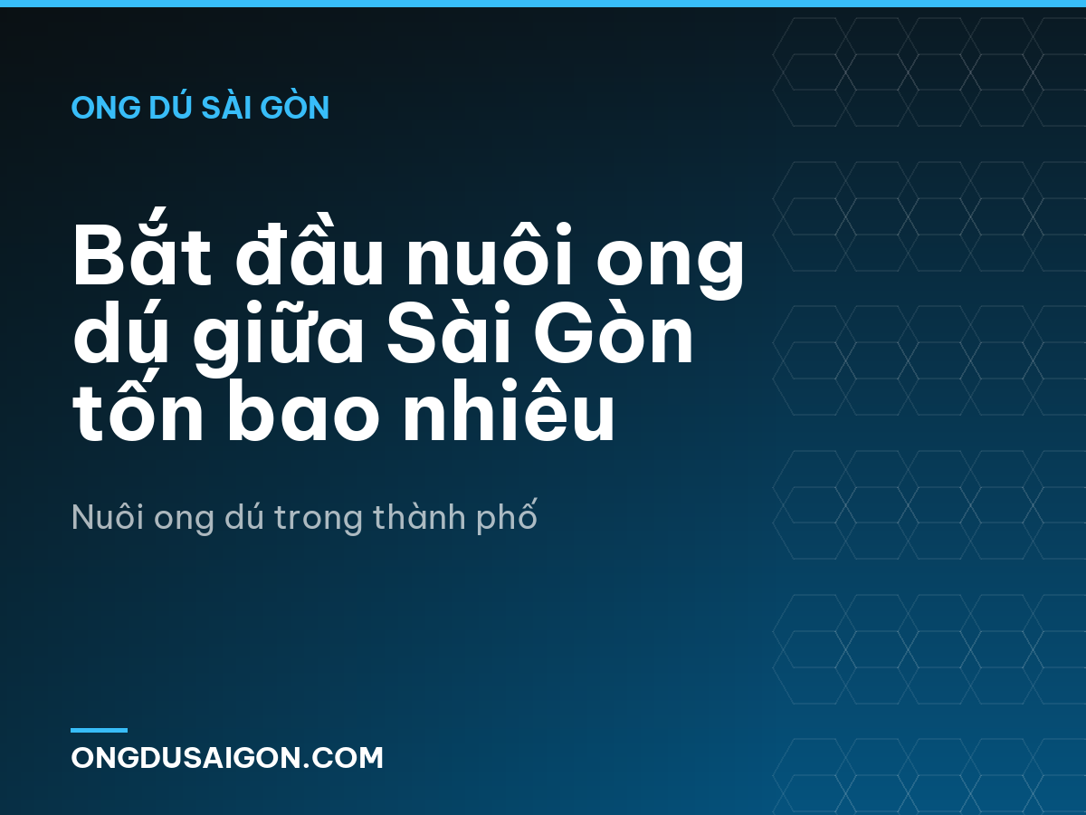 Bắt đầu nuôi ong dú giữa Sài Gòn tốn bao nhiêu