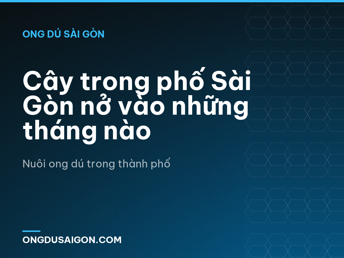 Cây trong phố Sài Gòn nở vào những tháng nào