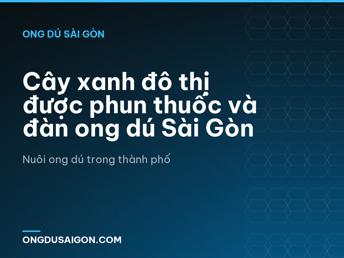 Cây xanh đô thị được phun thuốc và đàn ong dú Sài Gòn