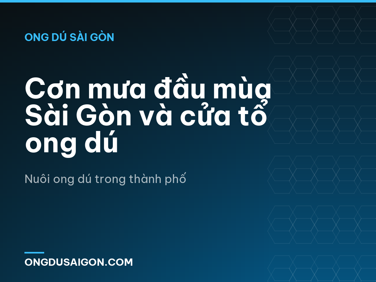 Cơn mưa đầu mùa Sài Gòn và cửa tổ ong dú
