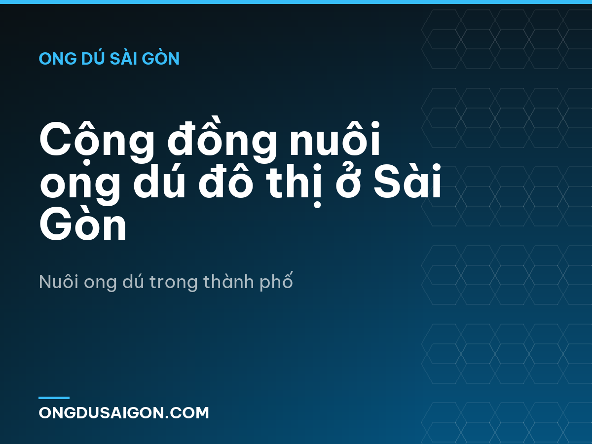 Cộng đồng nuôi ong dú đô thị ở Sài Gòn