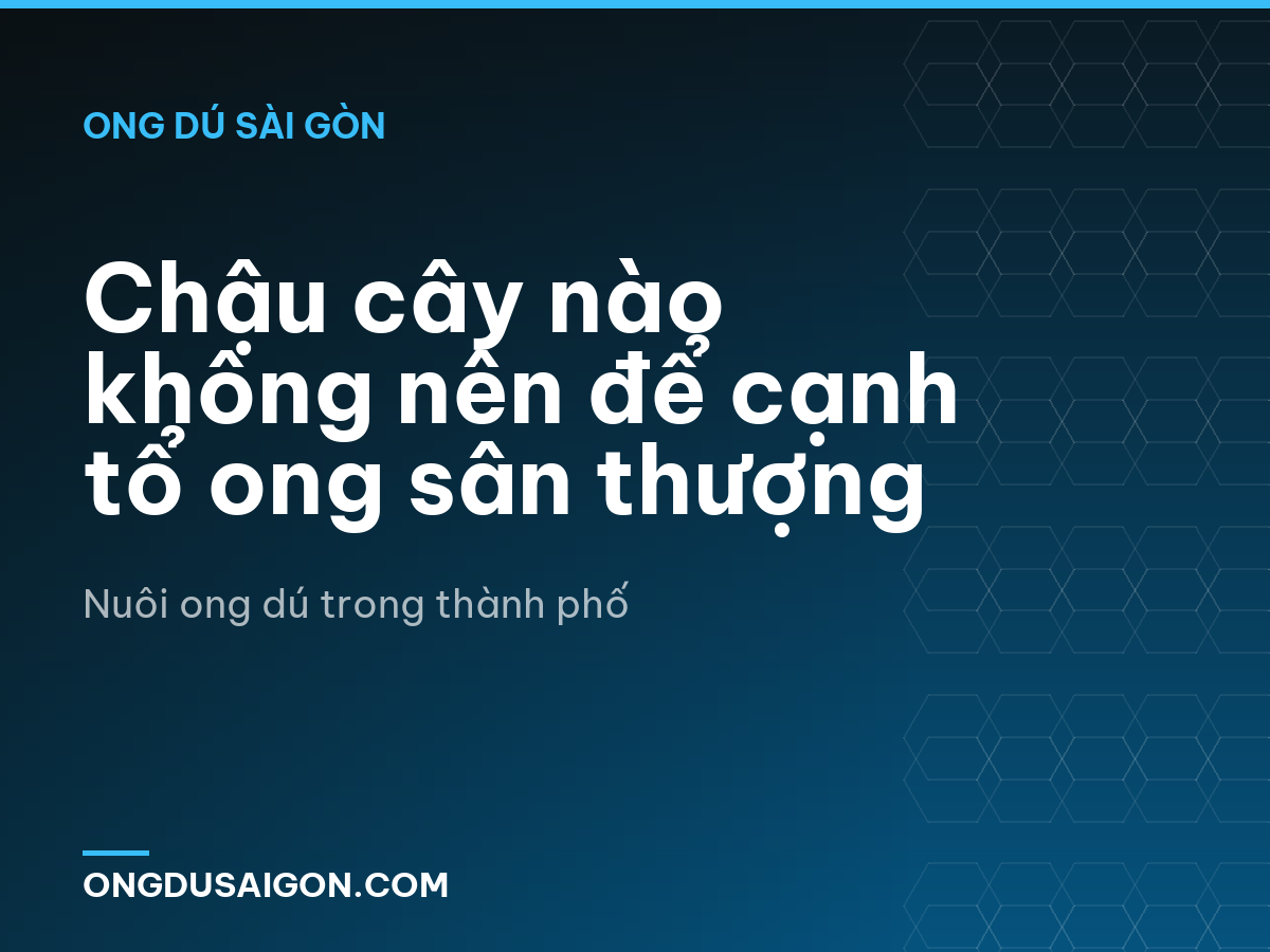 Chậu cây nào không nên để cạnh tổ ong sân thượng