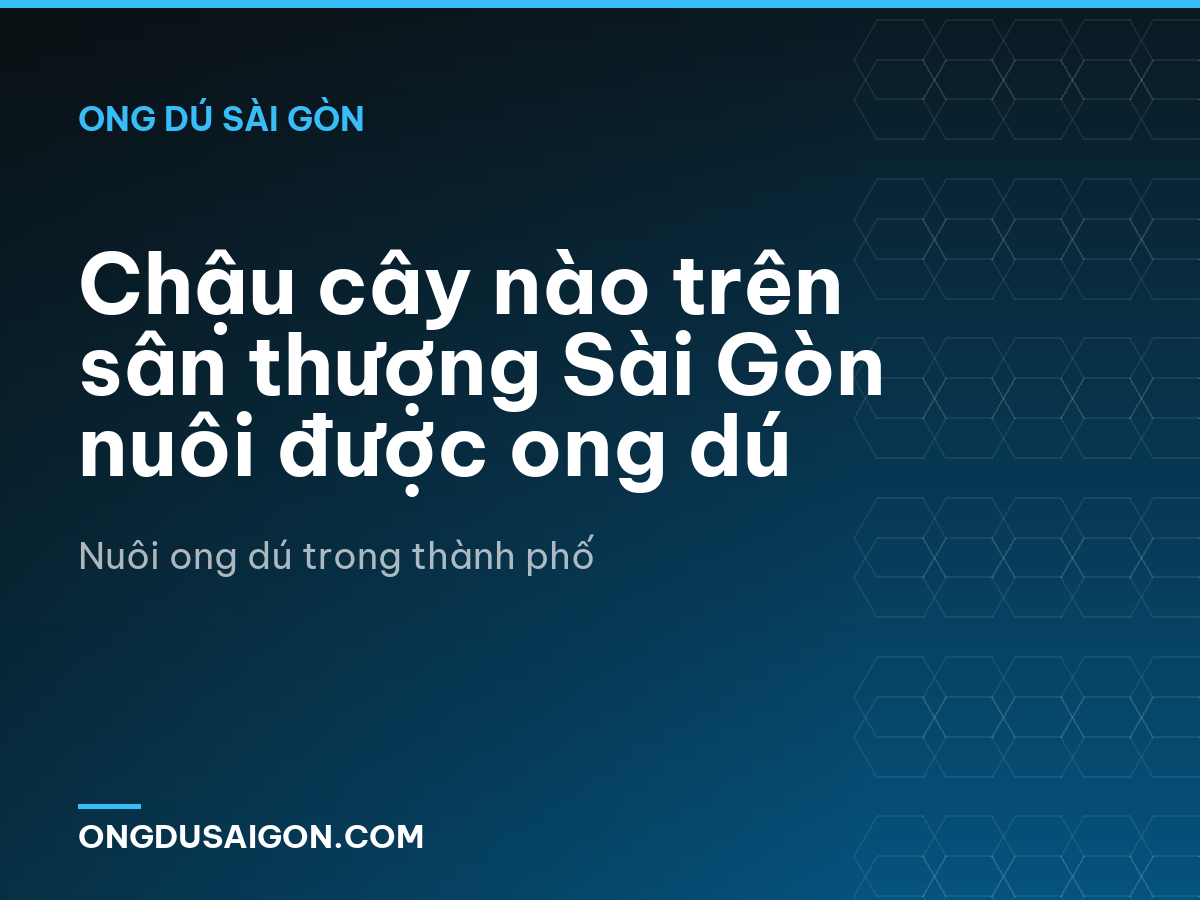 Chậu cây nào trên sân thượng Sài Gòn nuôi được ong dú