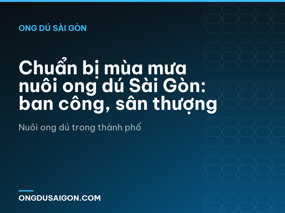Chuẩn bị mùa mưa nuôi ong dú Sài Gòn: ban công, sân thượng
