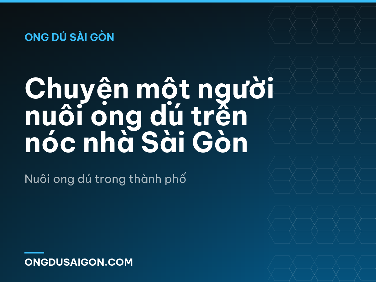 Chuyện một người nuôi ong dú trên nóc nhà Sài Gòn