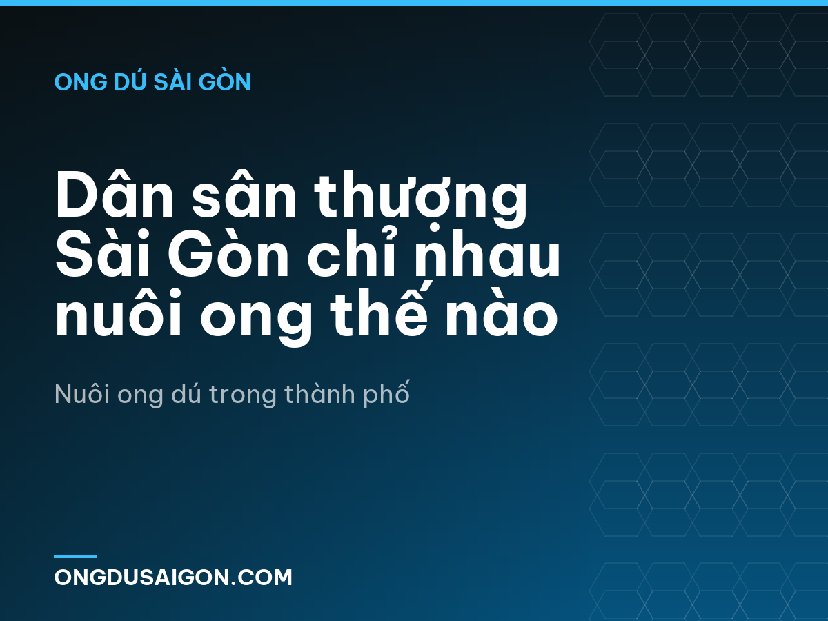 Dân sân thượng Sài Gòn chỉ nhau nuôi ong thế nào
