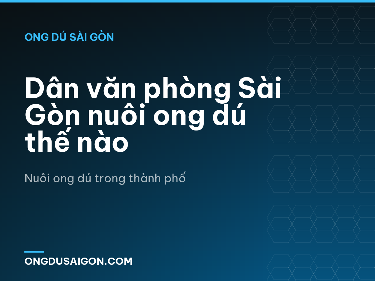 Dân văn phòng Sài Gòn nuôi ong dú thế nào
