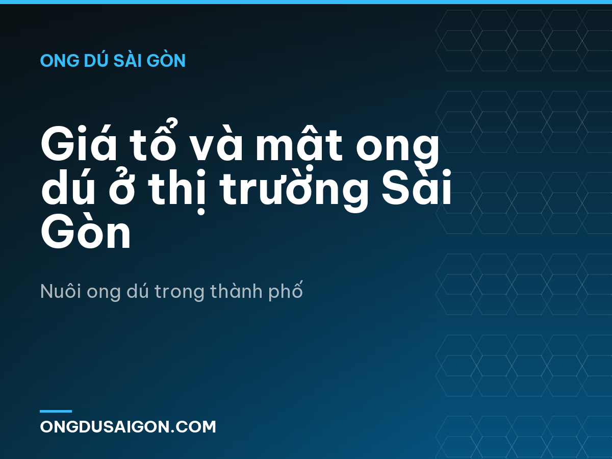 Giá tổ và mật ong dú ở thị trường Sài Gòn