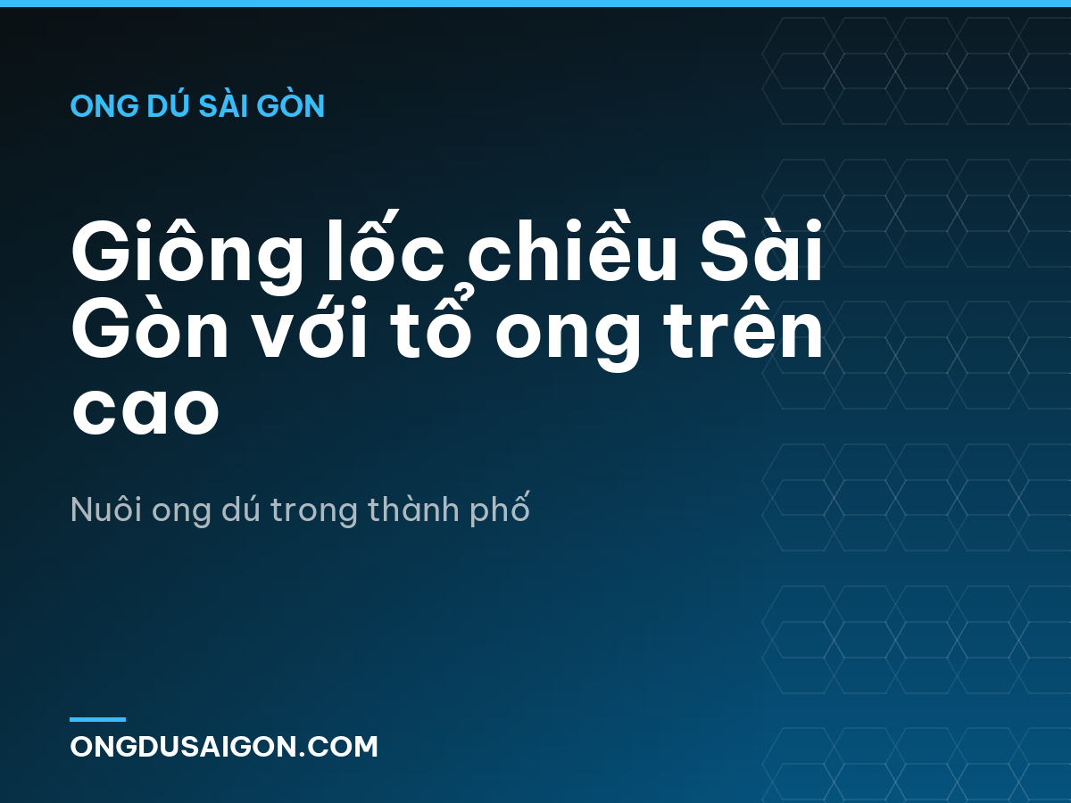 Giông lốc chiều Sài Gòn với tổ ong trên cao