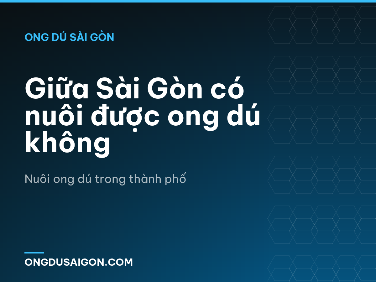 Giữa Sài Gòn có nuôi được ong dú không