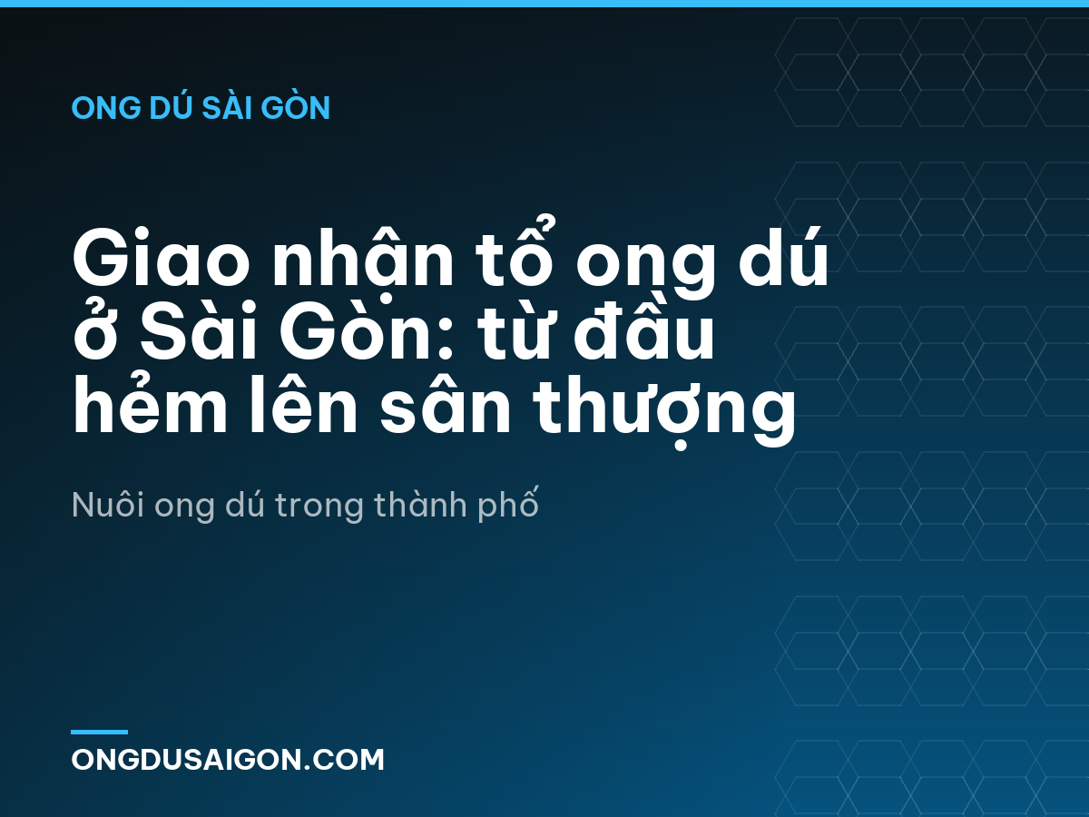 Giao nhận tổ ong dú ở Sài Gòn: từ đầu hẻm lên sân thượng