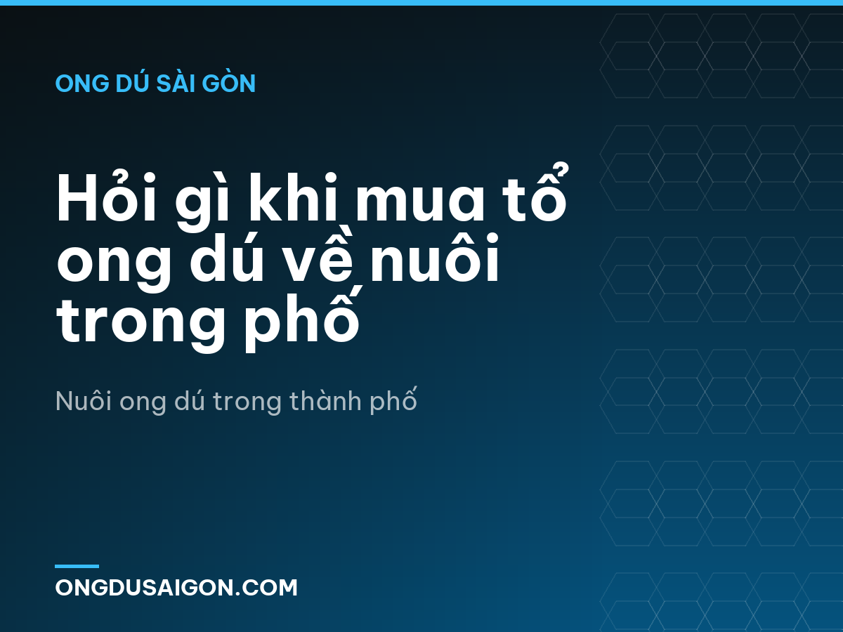 Hỏi gì khi mua tổ ong dú về nuôi trong phố