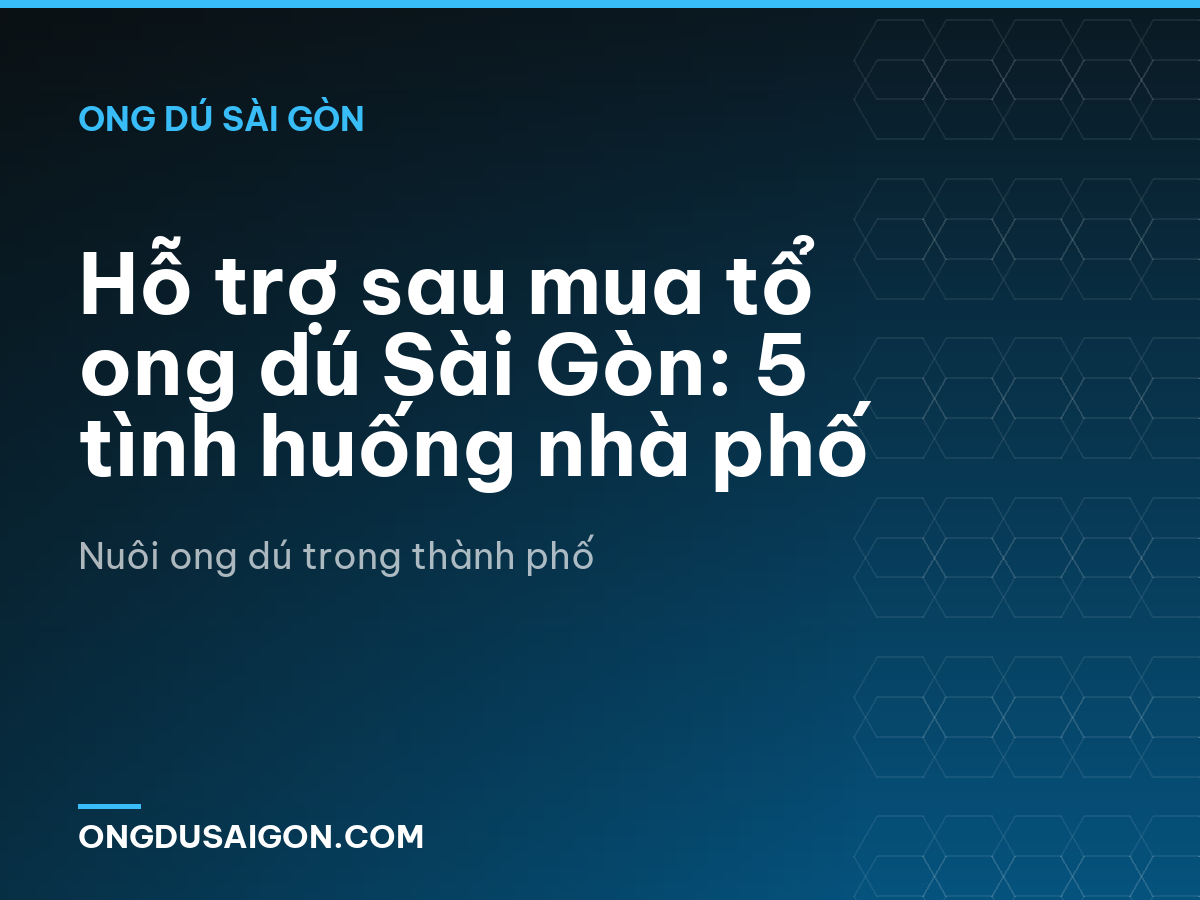 Hỗ trợ sau mua tổ ong dú Sài Gòn: 5 tình huống nhà phố