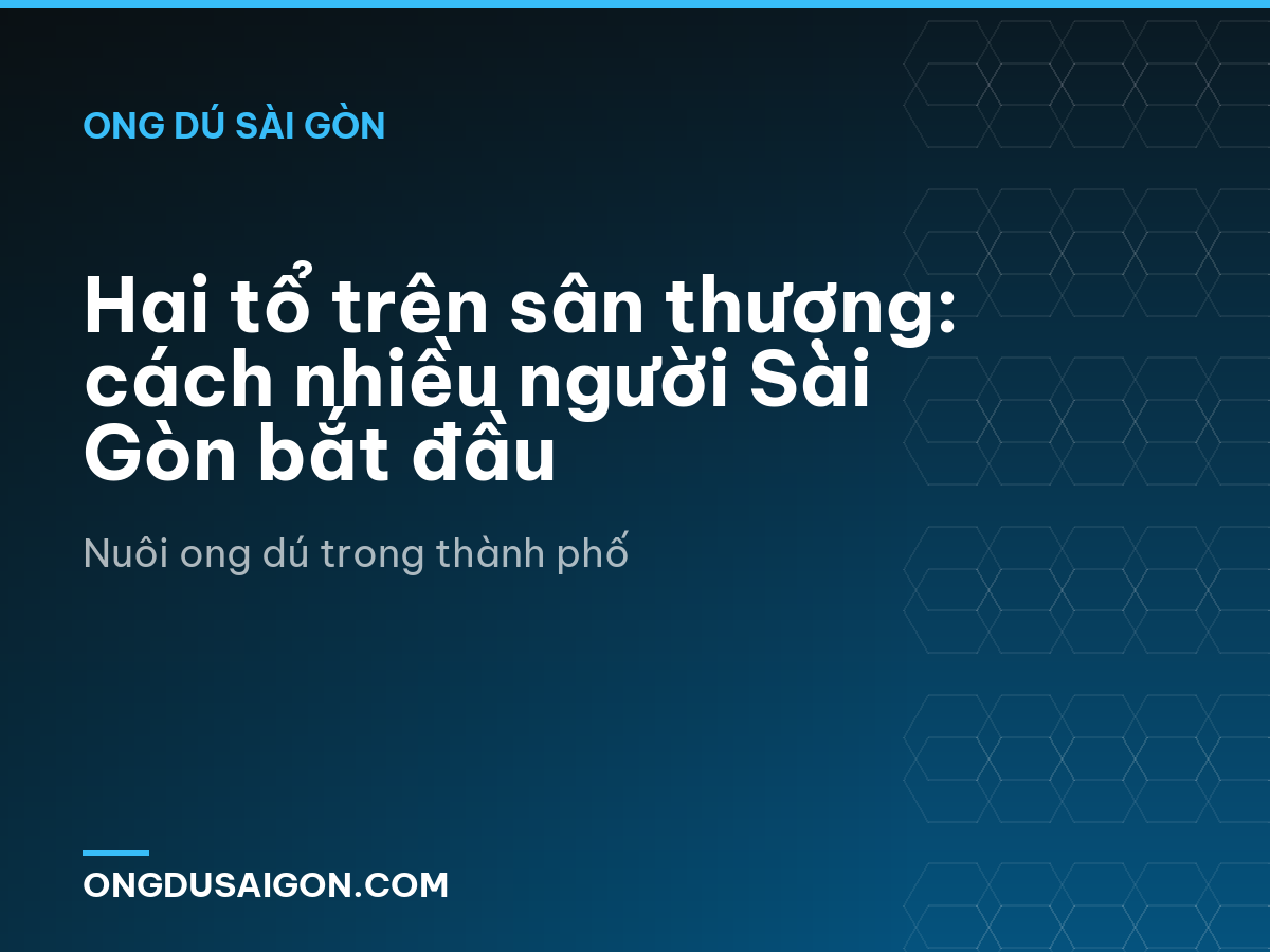 Hai tổ trên sân thượng: cách nhiều người Sài Gòn bắt đầu