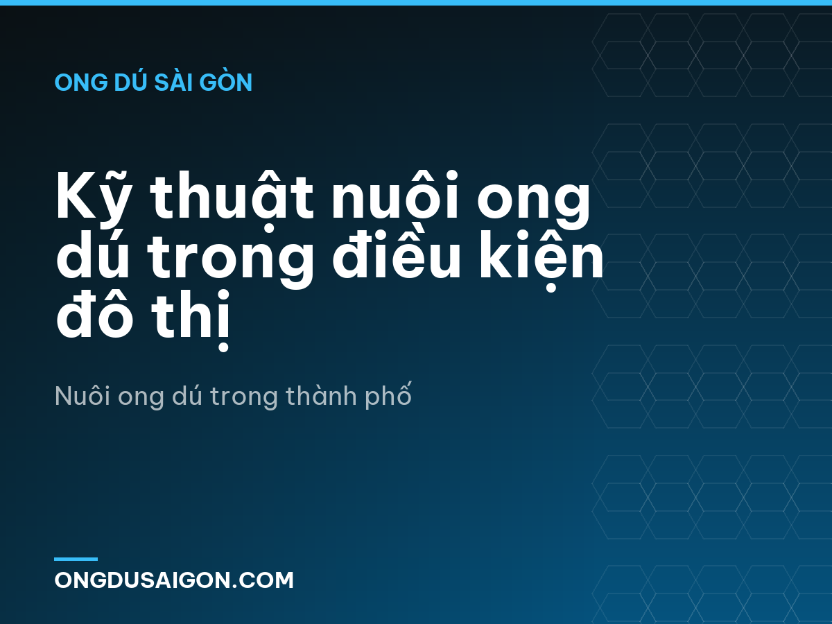 Kỹ thuật nuôi ong dú trong điều kiện đô thị