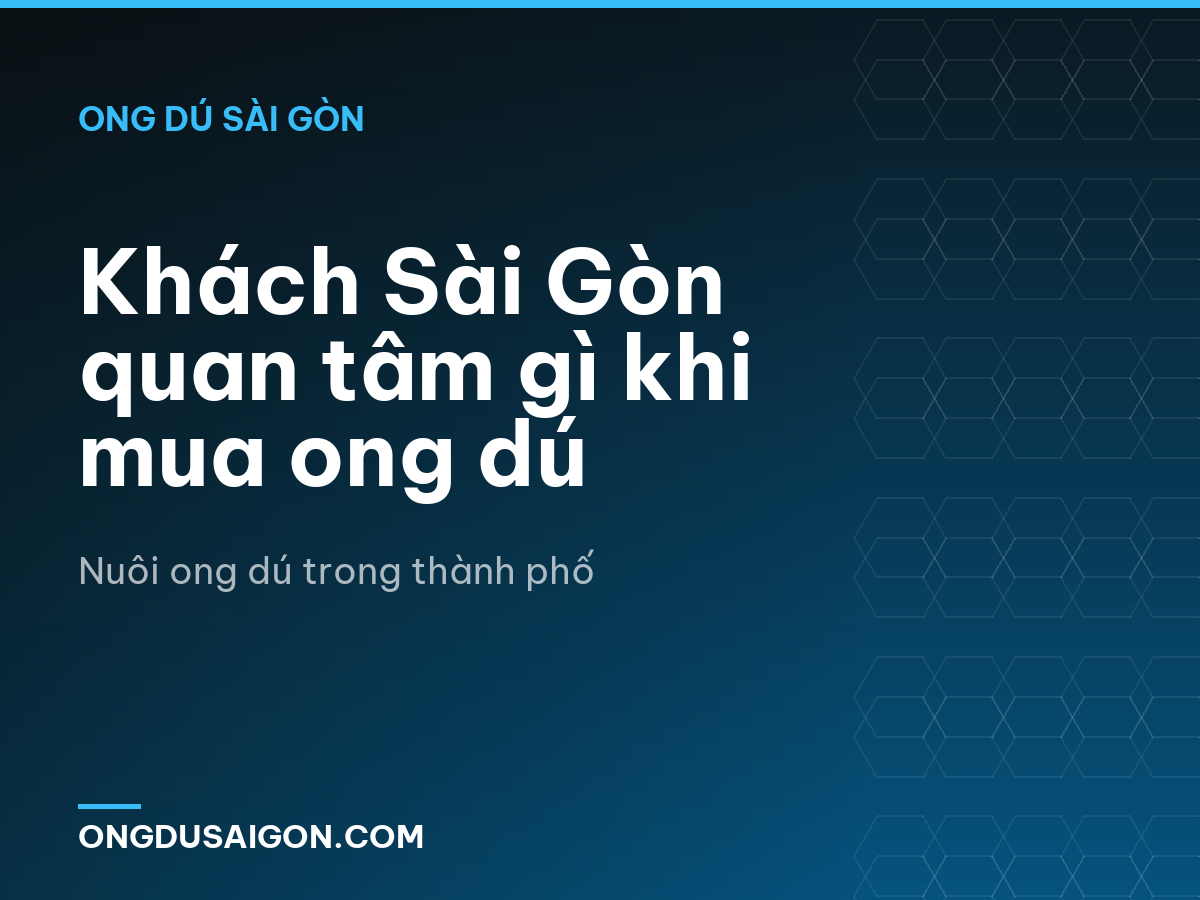 Khách Sài Gòn quan tâm gì khi mua ong dú