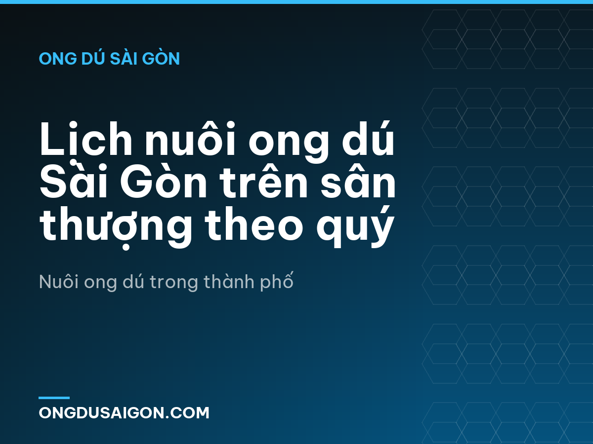 Lịch nuôi ong dú Sài Gòn trên sân thượng theo quý