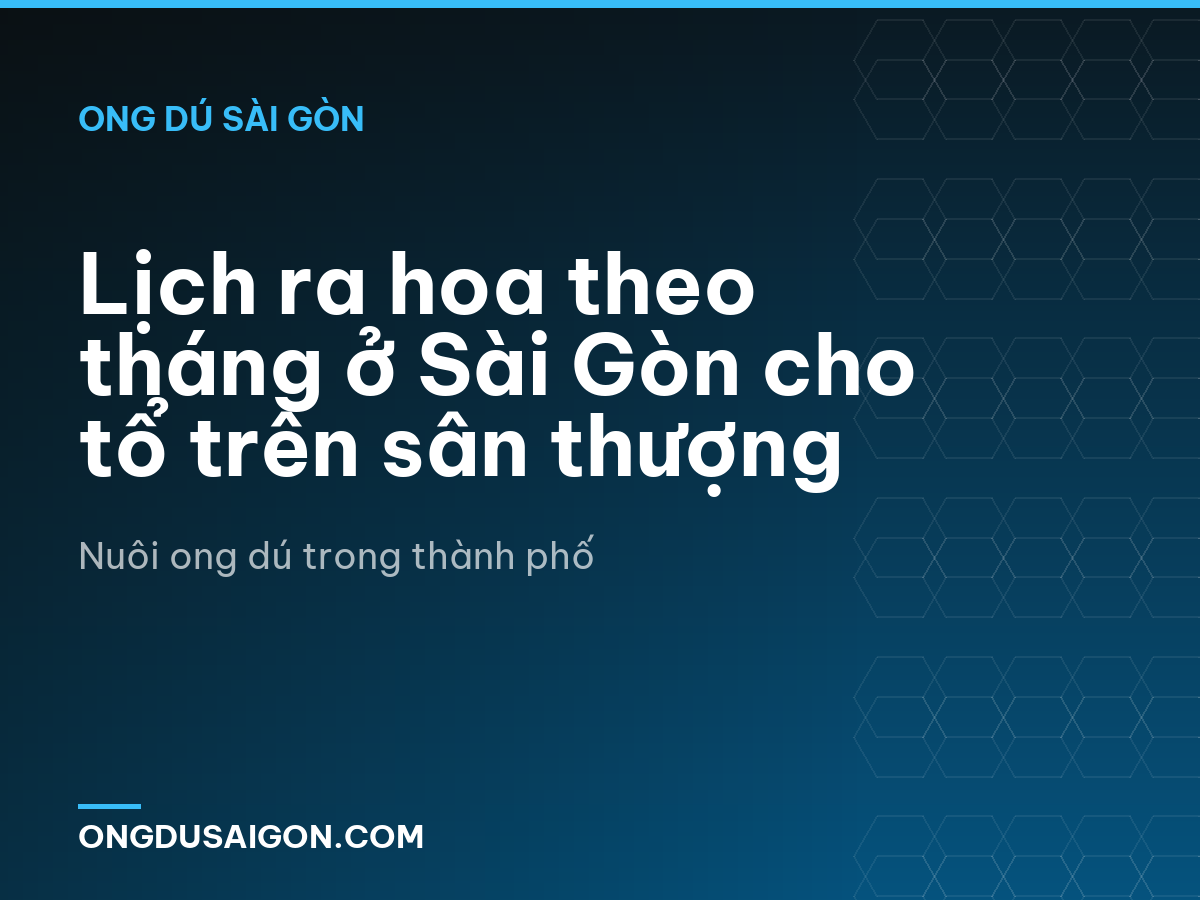 Lịch ra hoa theo tháng ở Sài Gòn cho tổ trên sân thượng