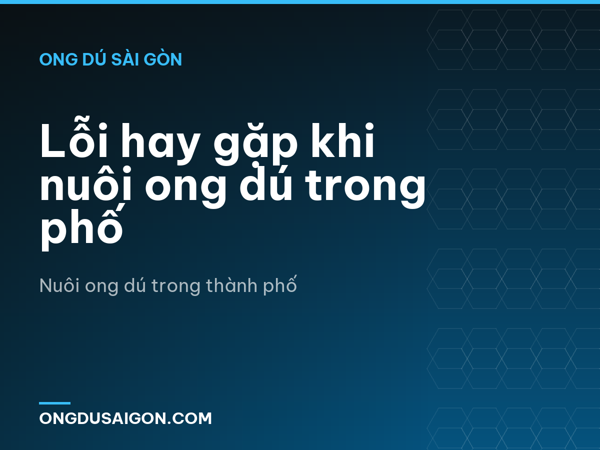 Lỗi hay gặp khi nuôi ong dú trong phố