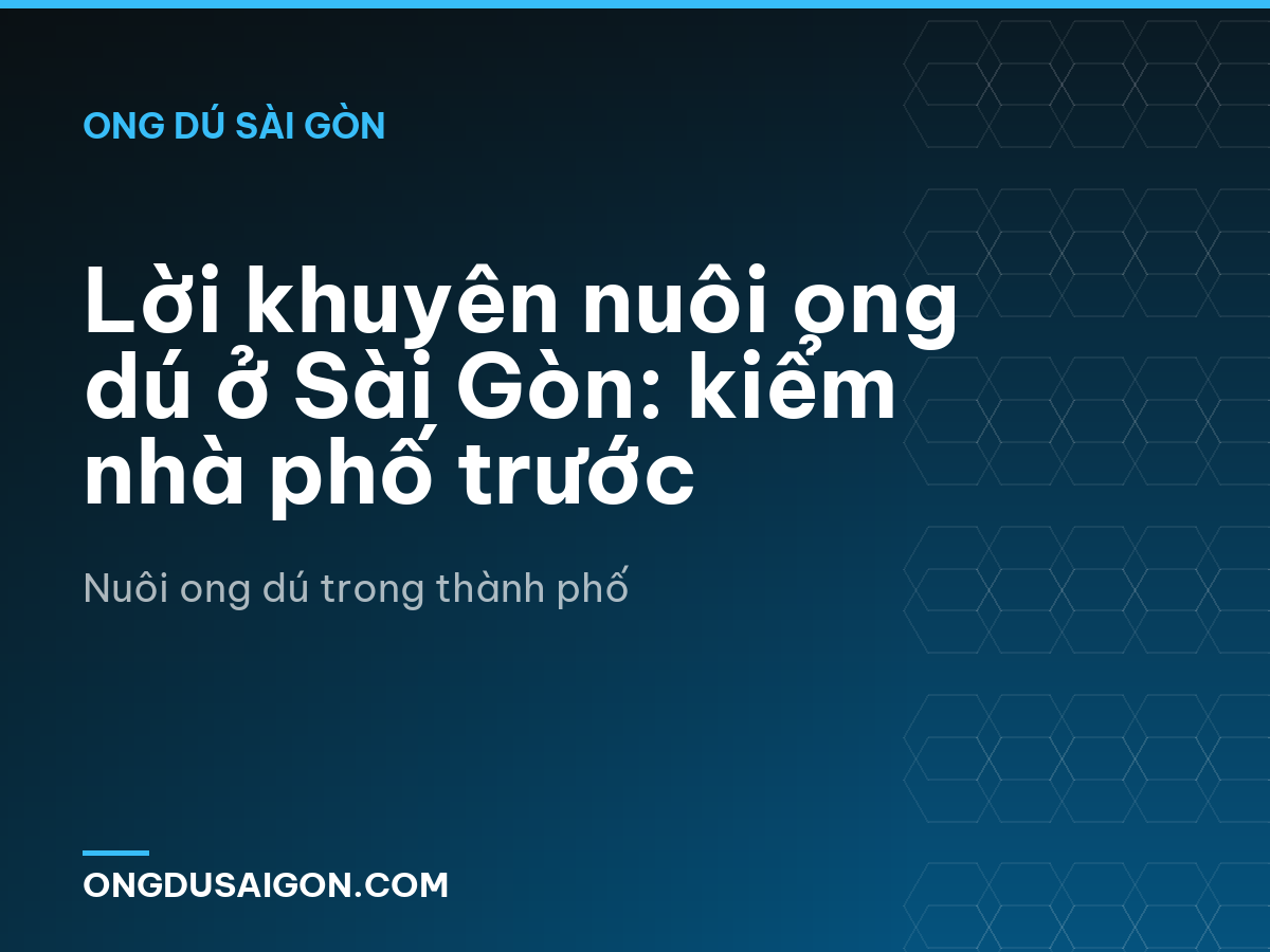 Lời khuyên nuôi ong dú ở Sài Gòn: kiểm nhà phố trước