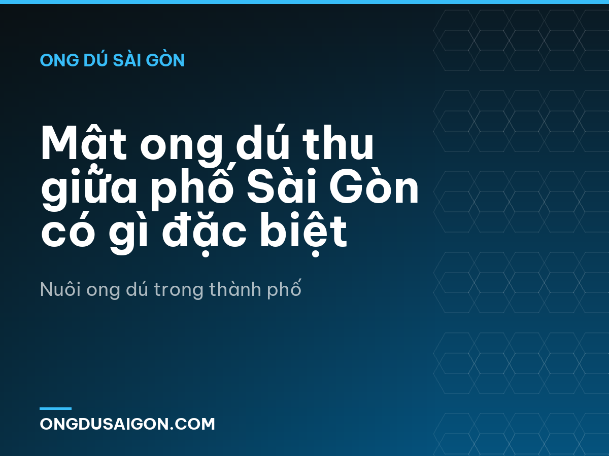 Mật ong dú thu giữa phố Sài Gòn có gì đặc biệt