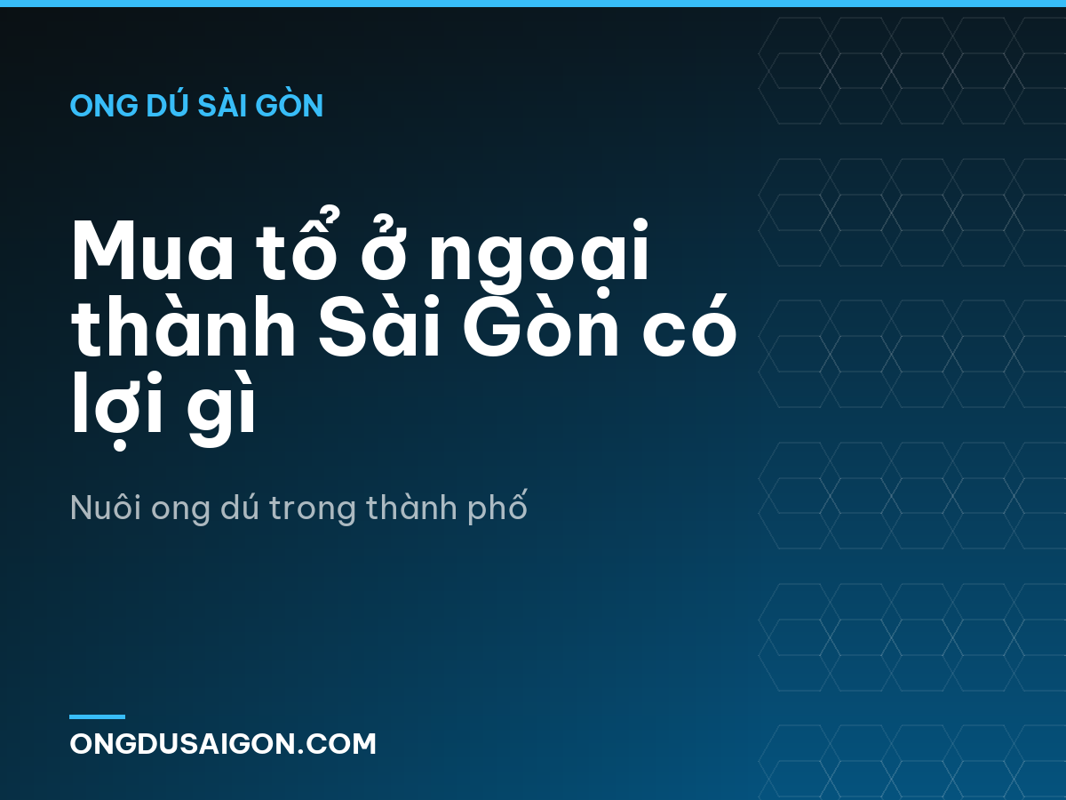 Mua tổ ở ngoại thành Sài Gòn có lợi gì