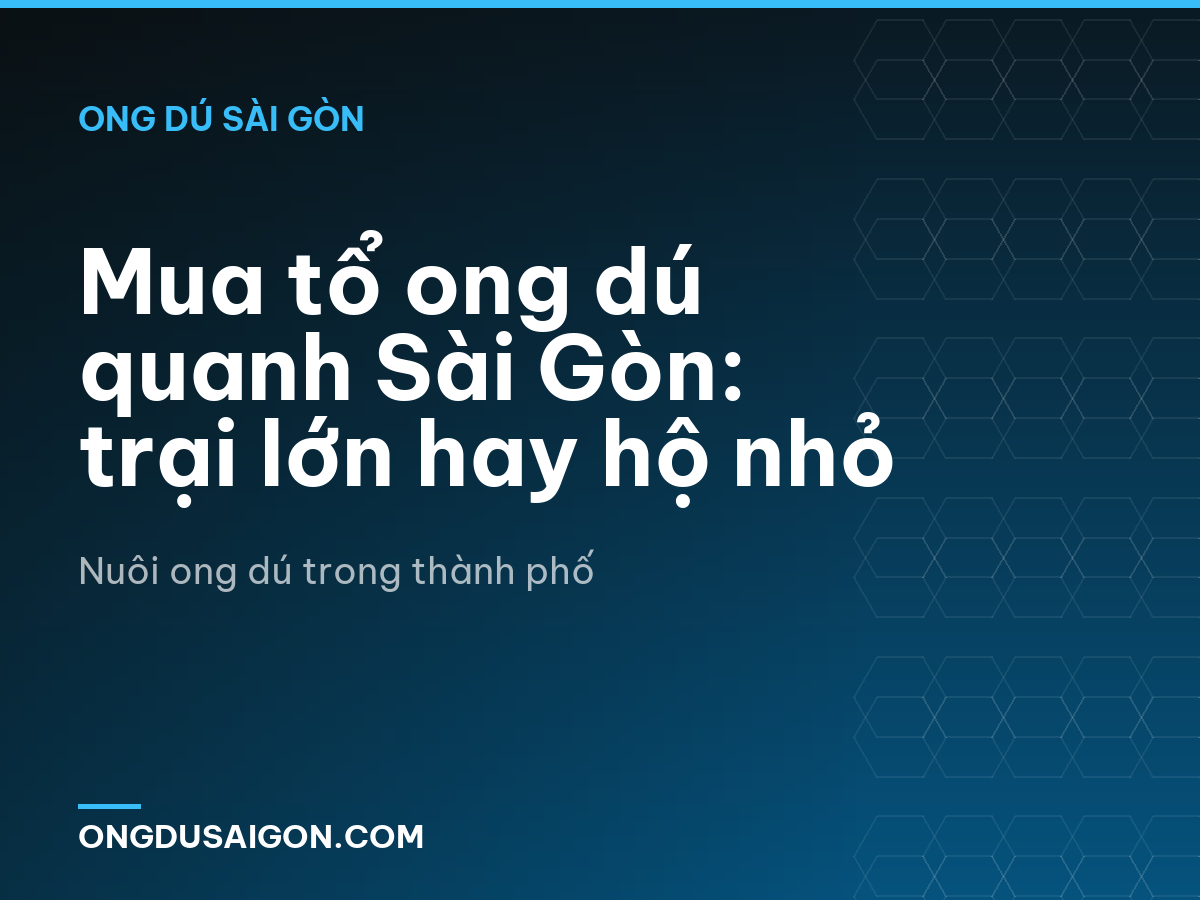 Mua tổ ong dú quanh Sài Gòn: trại lớn hay hộ nhỏ