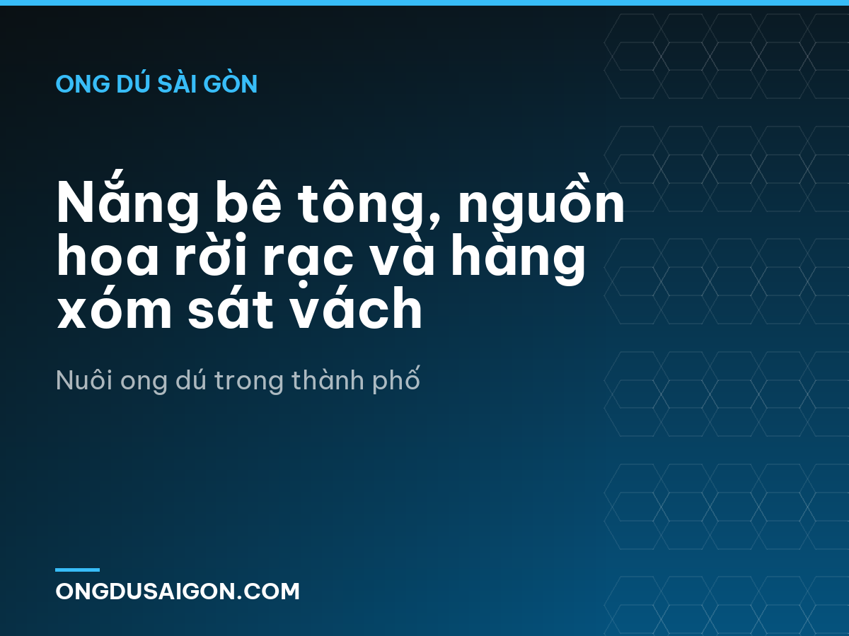 Nắng bê tông, nguồn hoa rời rạc và hàng xóm sát vách