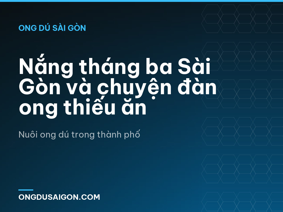 Nắng tháng ba Sài Gòn và chuyện đàn ong thiếu ăn