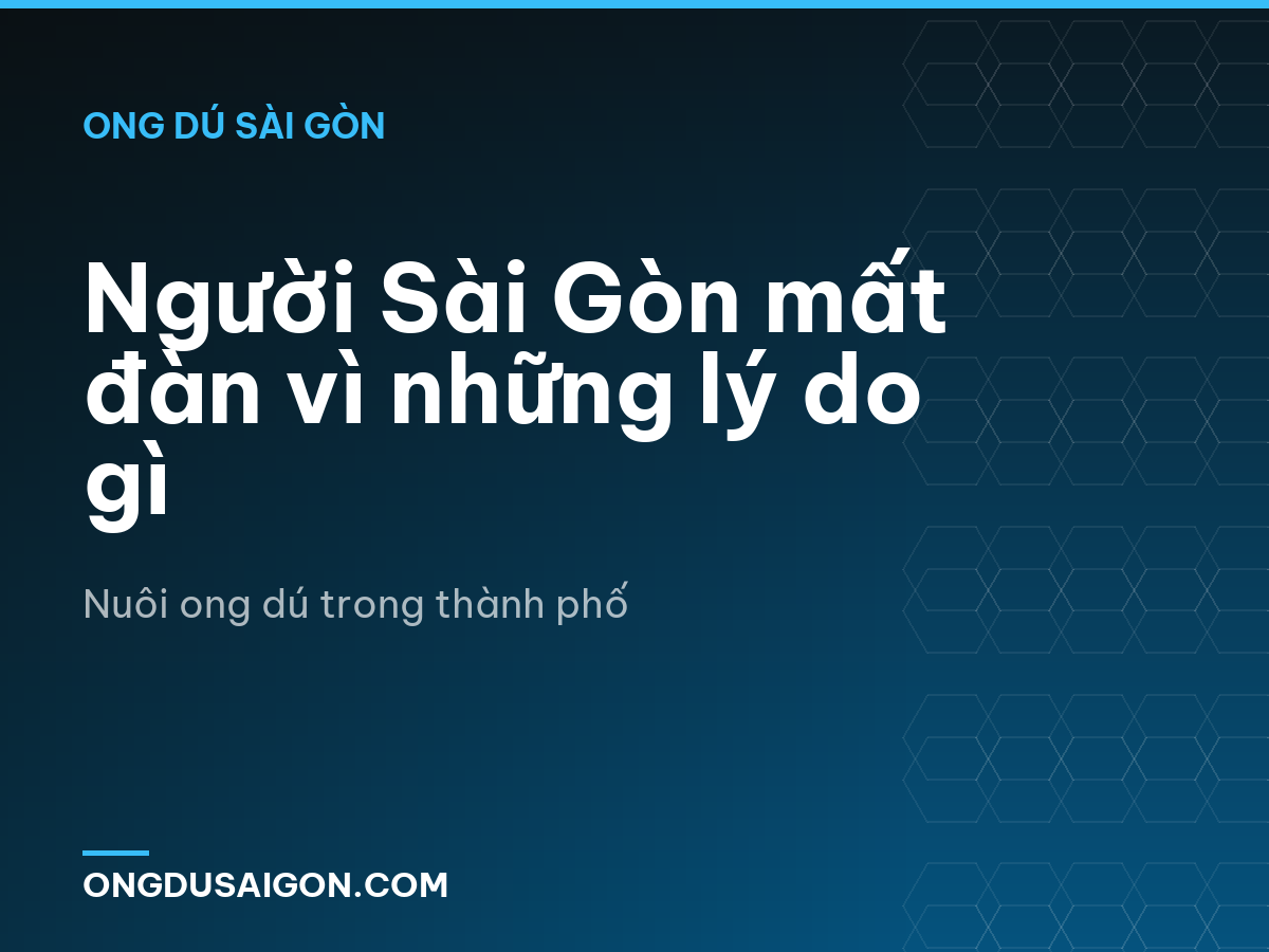 Người Sài Gòn mất đàn vì những lý do gì