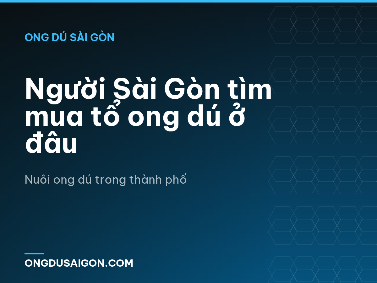 Người Sài Gòn tìm mua tổ ong dú ở đâu