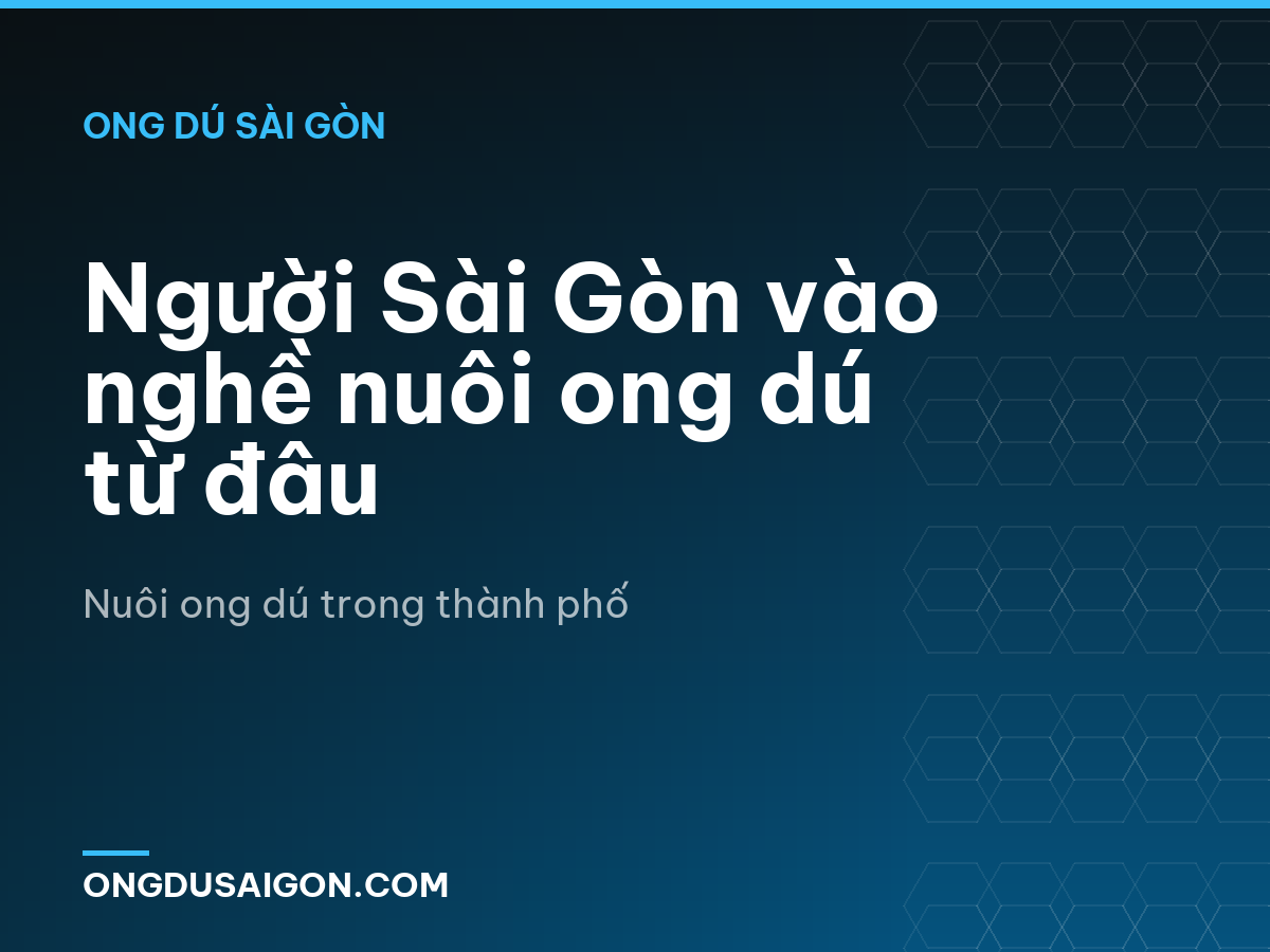 Người Sài Gòn vào nghề nuôi ong dú từ đâu