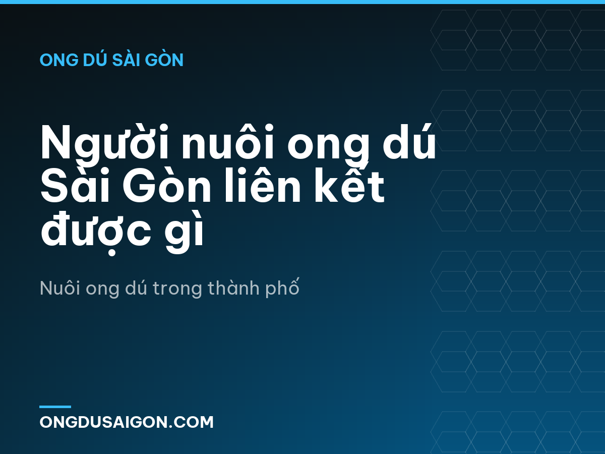 Người nuôi ong dú Sài Gòn liên kết được gì