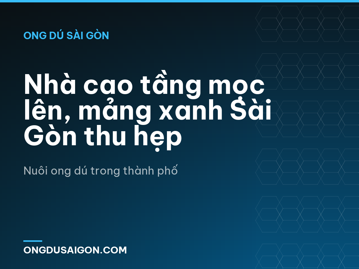 Nhà cao tầng mọc lên, mảng xanh Sài Gòn thu hẹp