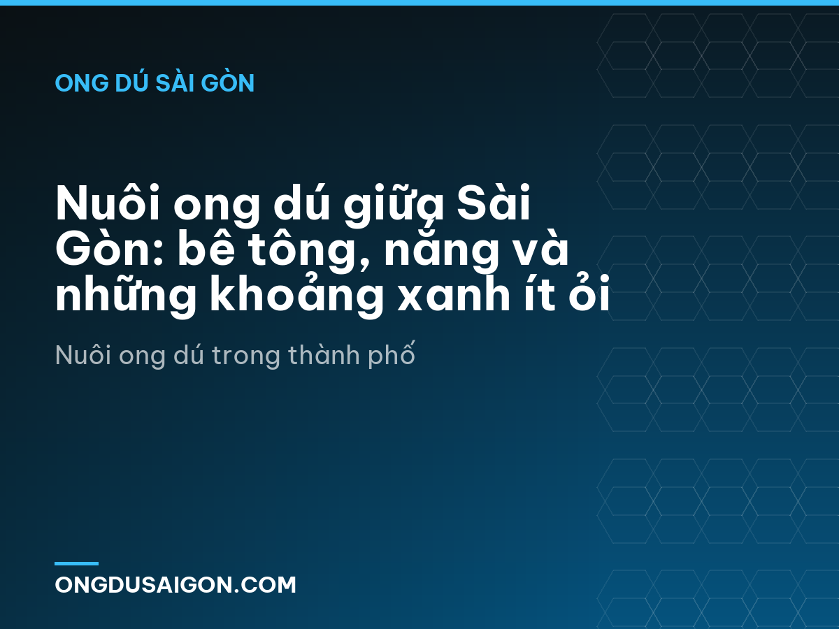 Nuôi ong dú giữa Sài Gòn: bê tông, nắng và những khoảng xanh ít ỏi