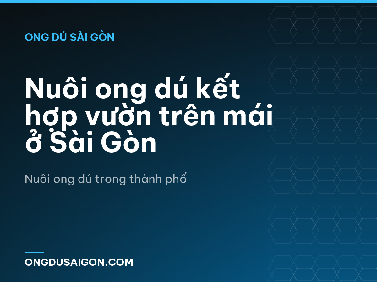 Nuôi ong dú kết hợp vườn trên mái ở Sài Gòn