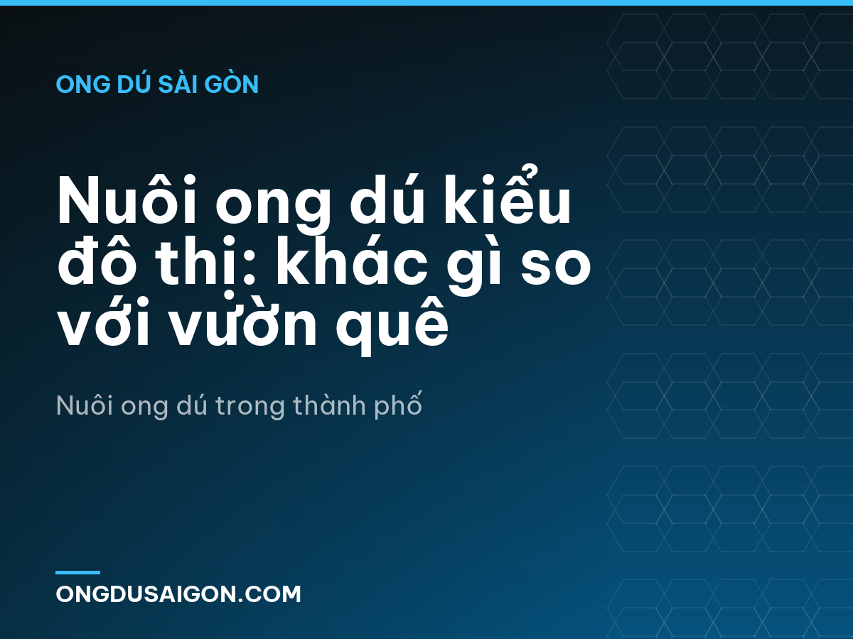 Nuôi ong dú kiểu đô thị: khác gì so với vườn quê