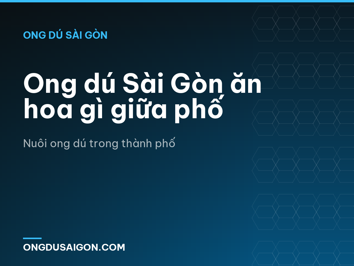 Ong dú Sài Gòn ăn hoa gì giữa phố