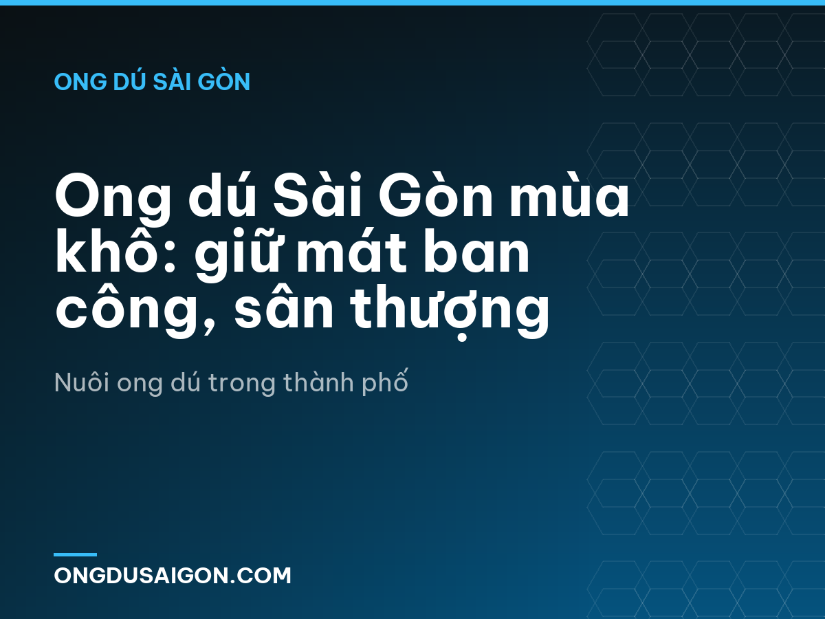 Ong dú Sài Gòn mùa khô: giữ mát ban công, sân thượng