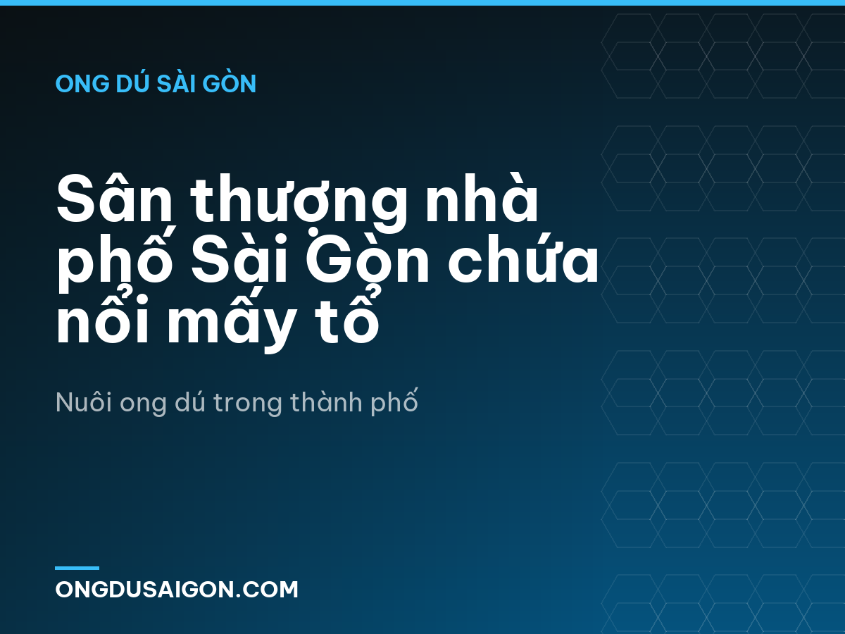Sân thượng nhà phố Sài Gòn chứa nổi mấy tổ