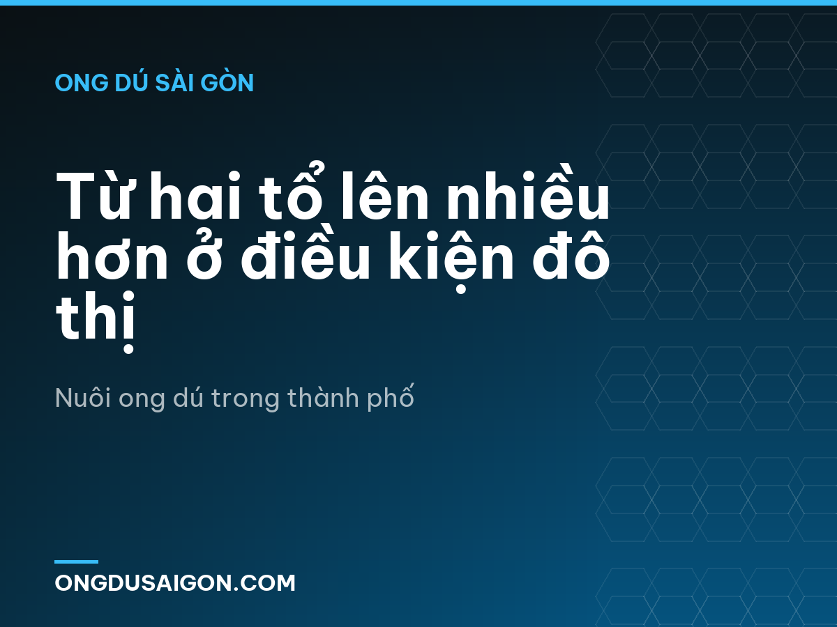 Từ hai tổ lên nhiều hơn ở điều kiện đô thị