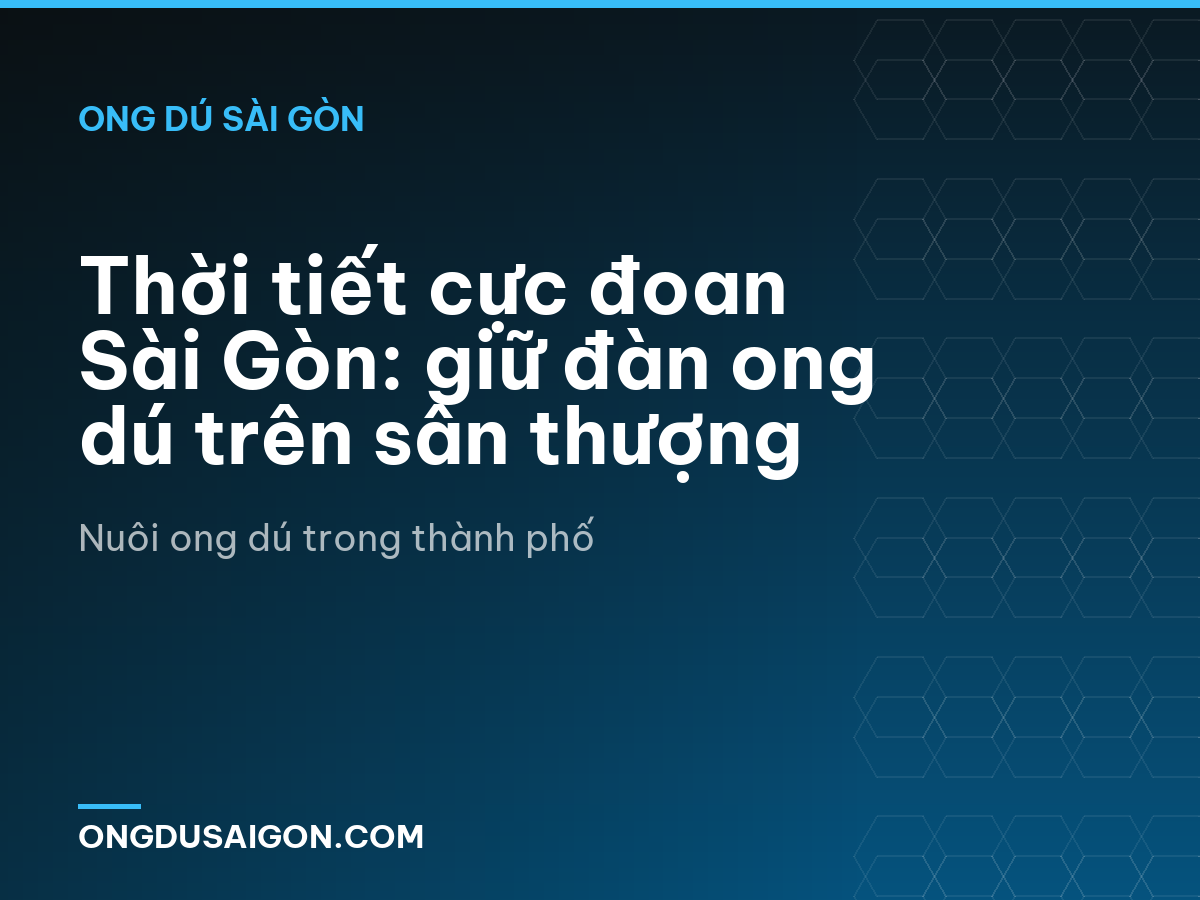 Thời tiết cực đoan Sài Gòn: giữ đàn ong dú trên sân thượng