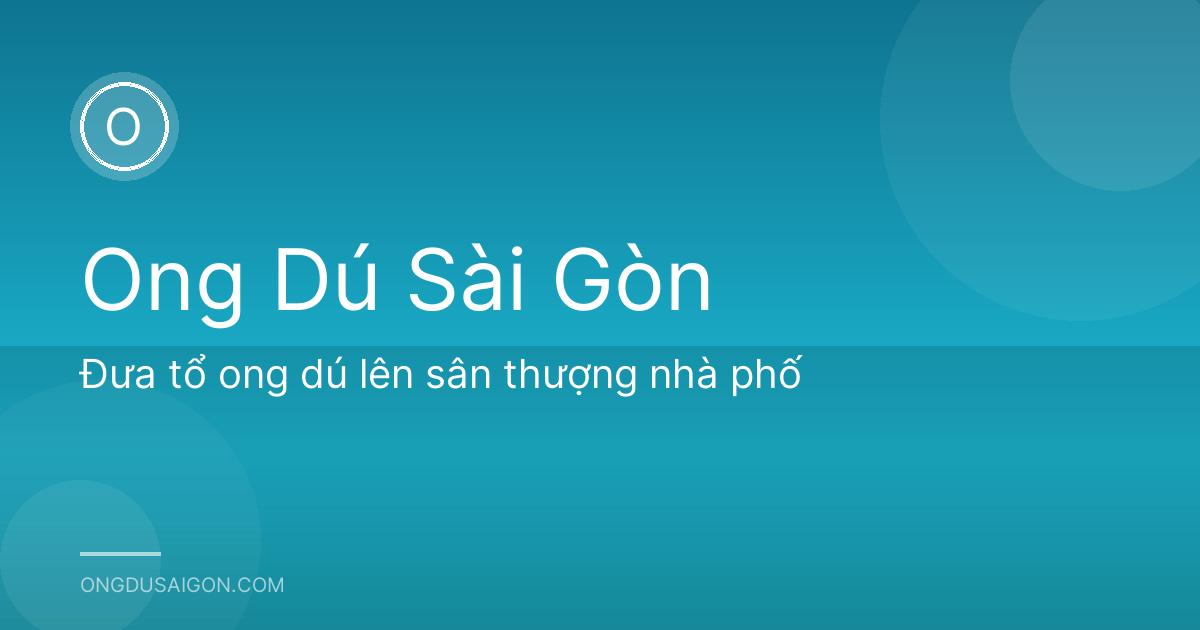 Đưa tổ ong dú lên sân thượng nhà phố