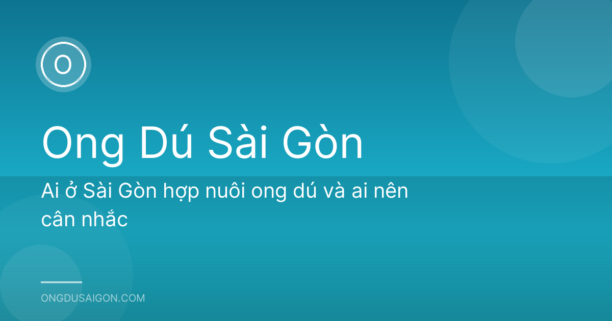 Ai ở Sài Gòn hợp nuôi ong dú và ai nên cân nhắc