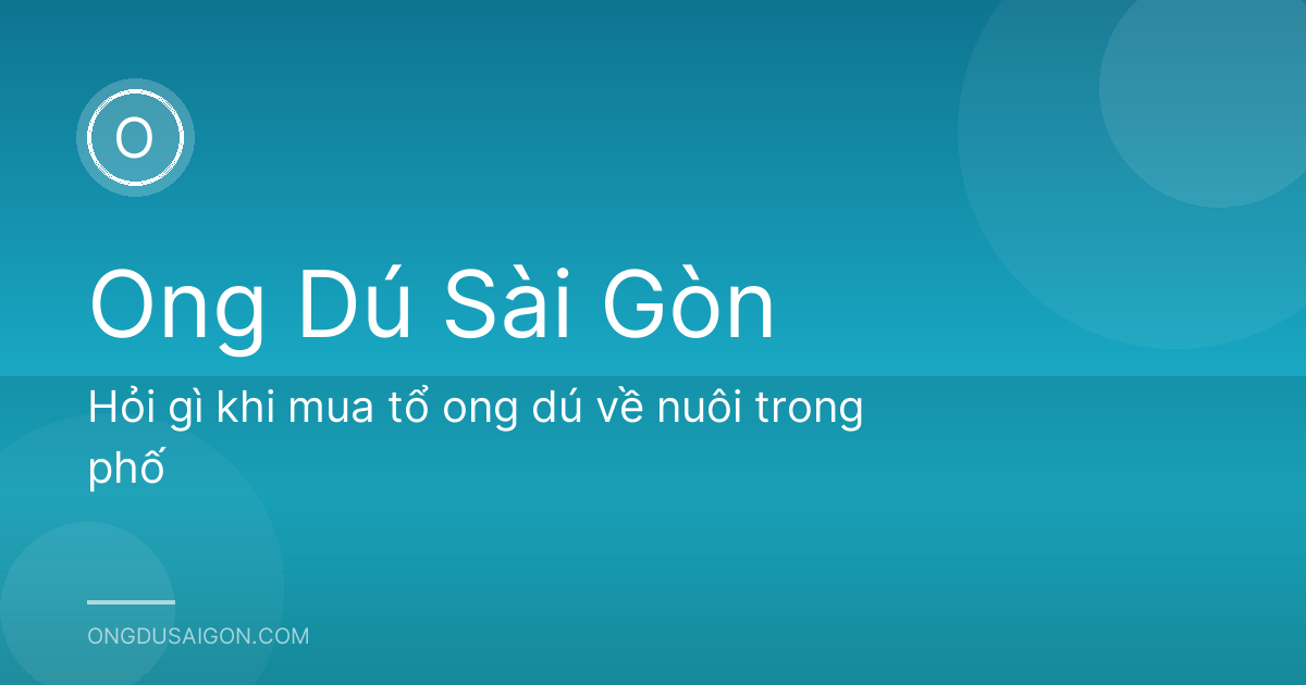 Hỏi gì khi mua tổ ong dú về nuôi trong phố